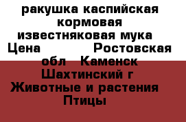 ракушка каспийская кормовая,известняковая мука › Цена ­ 1 400 - Ростовская обл., Каменск-Шахтинский г. Животные и растения » Птицы   
